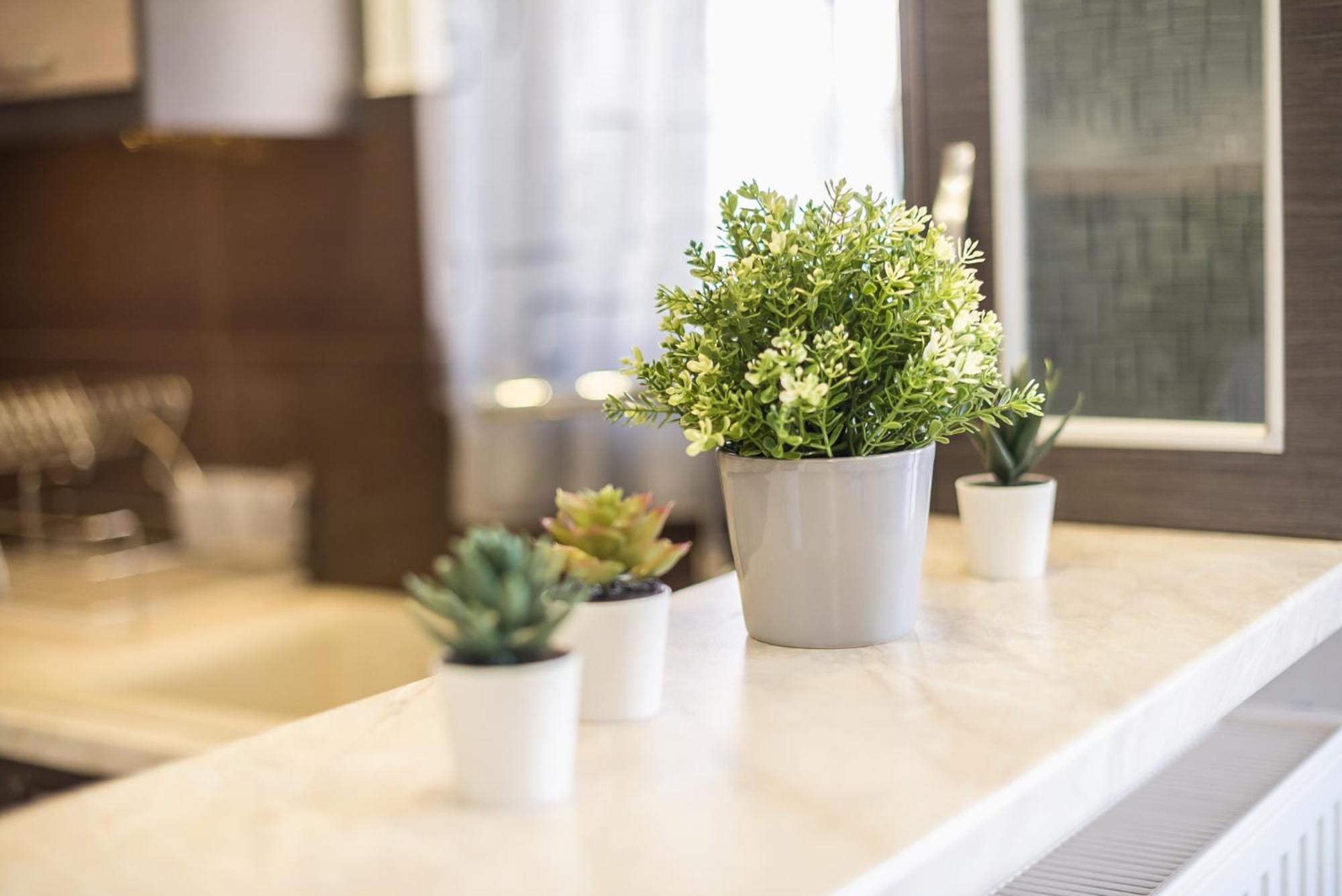 Rigas In Ilioupoli Appartement *